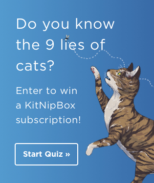 Quiz