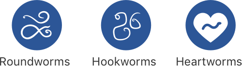 Fleas Ticks Ear mites Roundworms Hookworms Heartworms