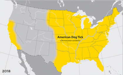 Where to find Gulf Coast Tick