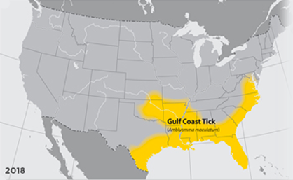 Where to find Black Legged Tick (deer tick)
