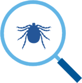 tick