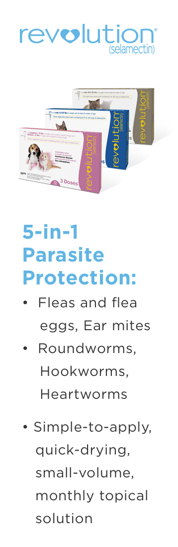 5-in-1 Parasite Protection